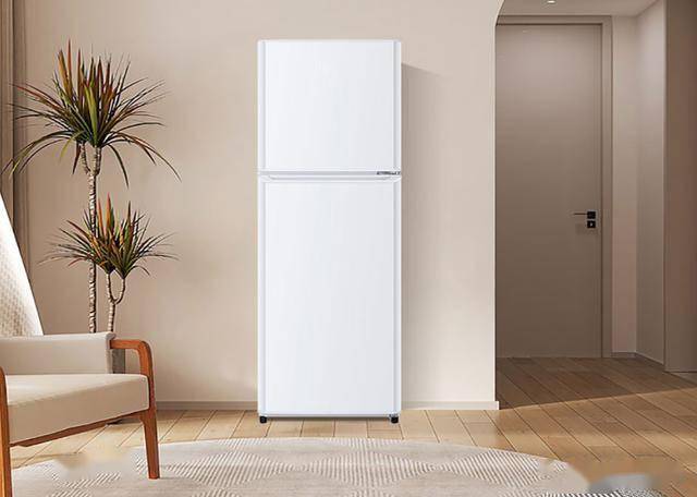 TME0WT：849元145升双门节能冰箱爱游戏体育节能新选择海尔BCD-145LH(图3)