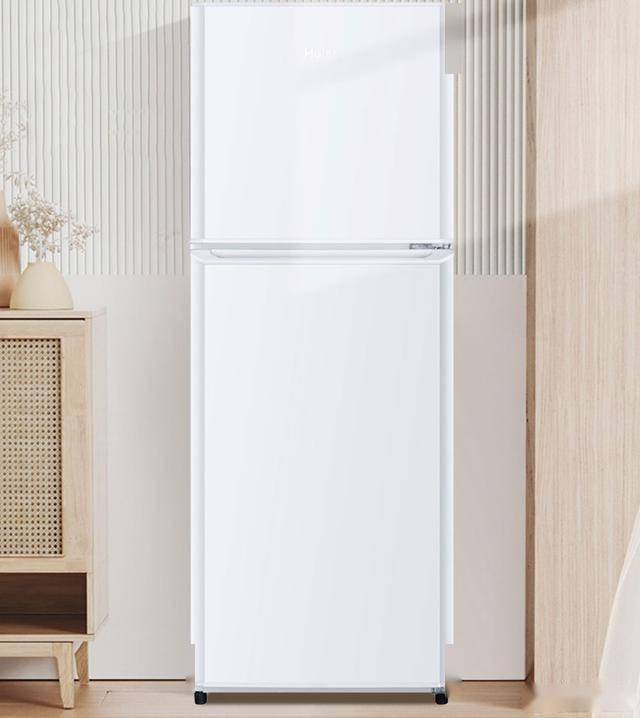 TME0WT：849元145升双门节能冰箱爱游戏体育节能新选择海尔BCD-145LH(图4)